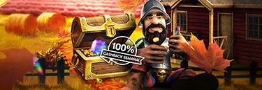 Cashback del 100%