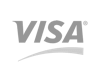 Visa Logo