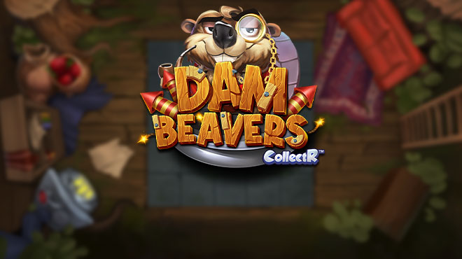 Dam Beavers
