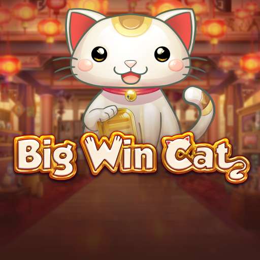 Big Win Cat